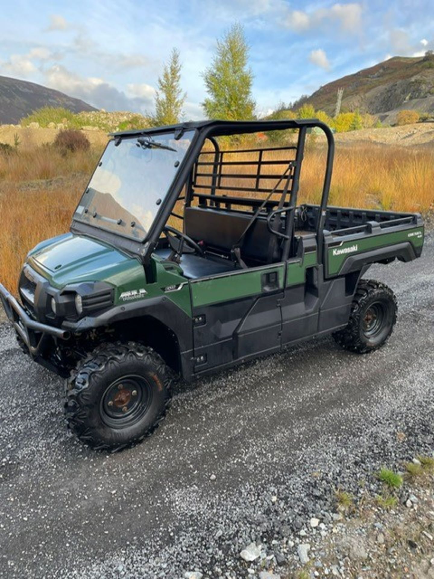 KAWASAKI MULE PRO DX BUGGY