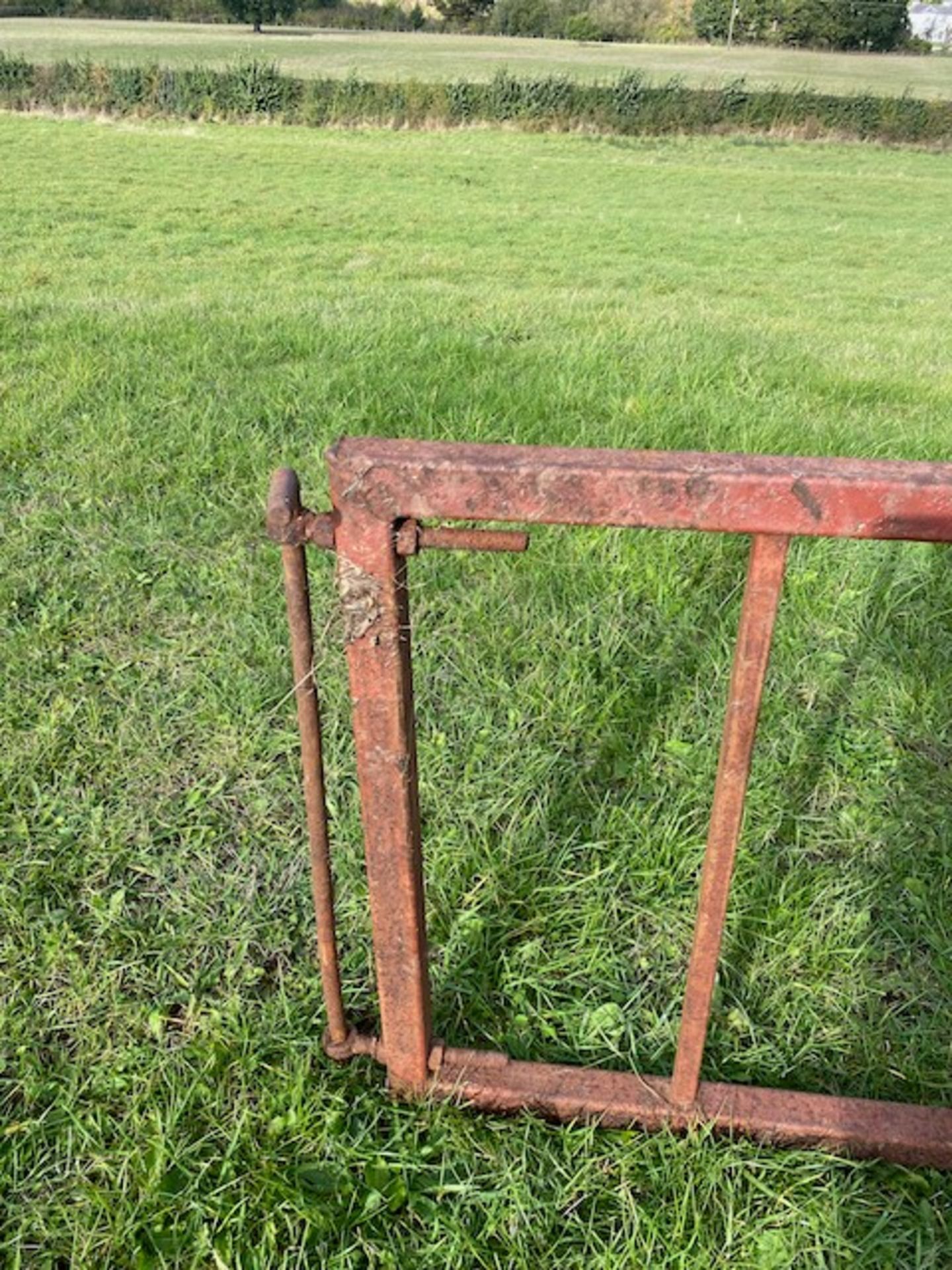 14' FEED BARRIER GATE - Image 3 of 3