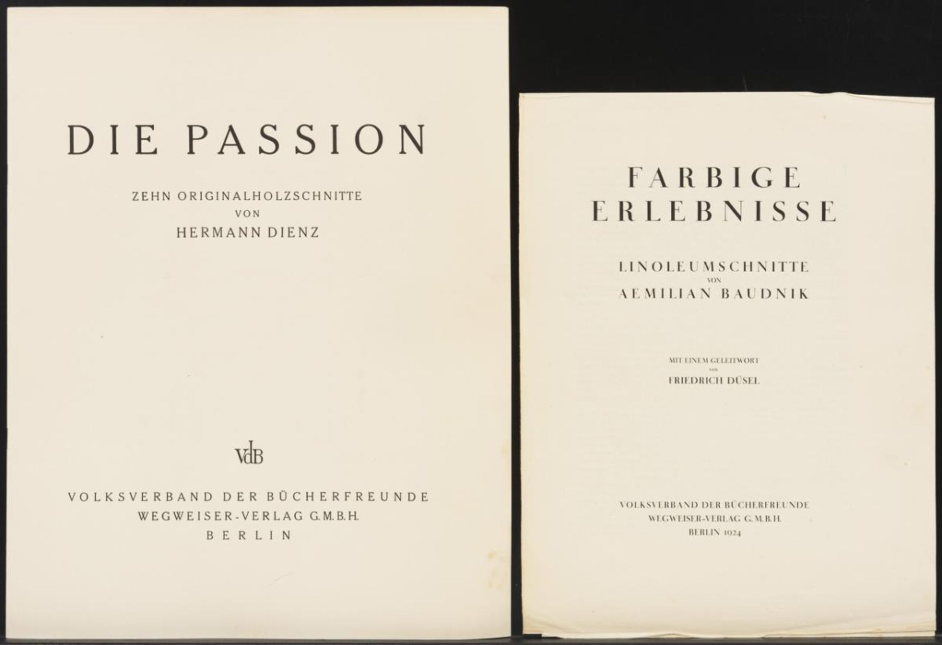 2 Mappenwerke von Aemilian Baudnik und Hermann Dienz