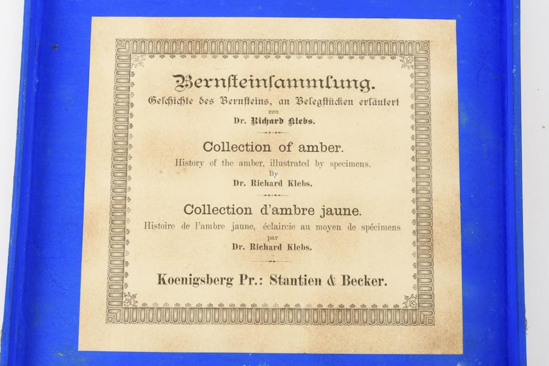 Bernsteinsammlung im Sammlungskästchen. Stantien & Becker, Königsberg/Preußen. - Bild 3 aus 4