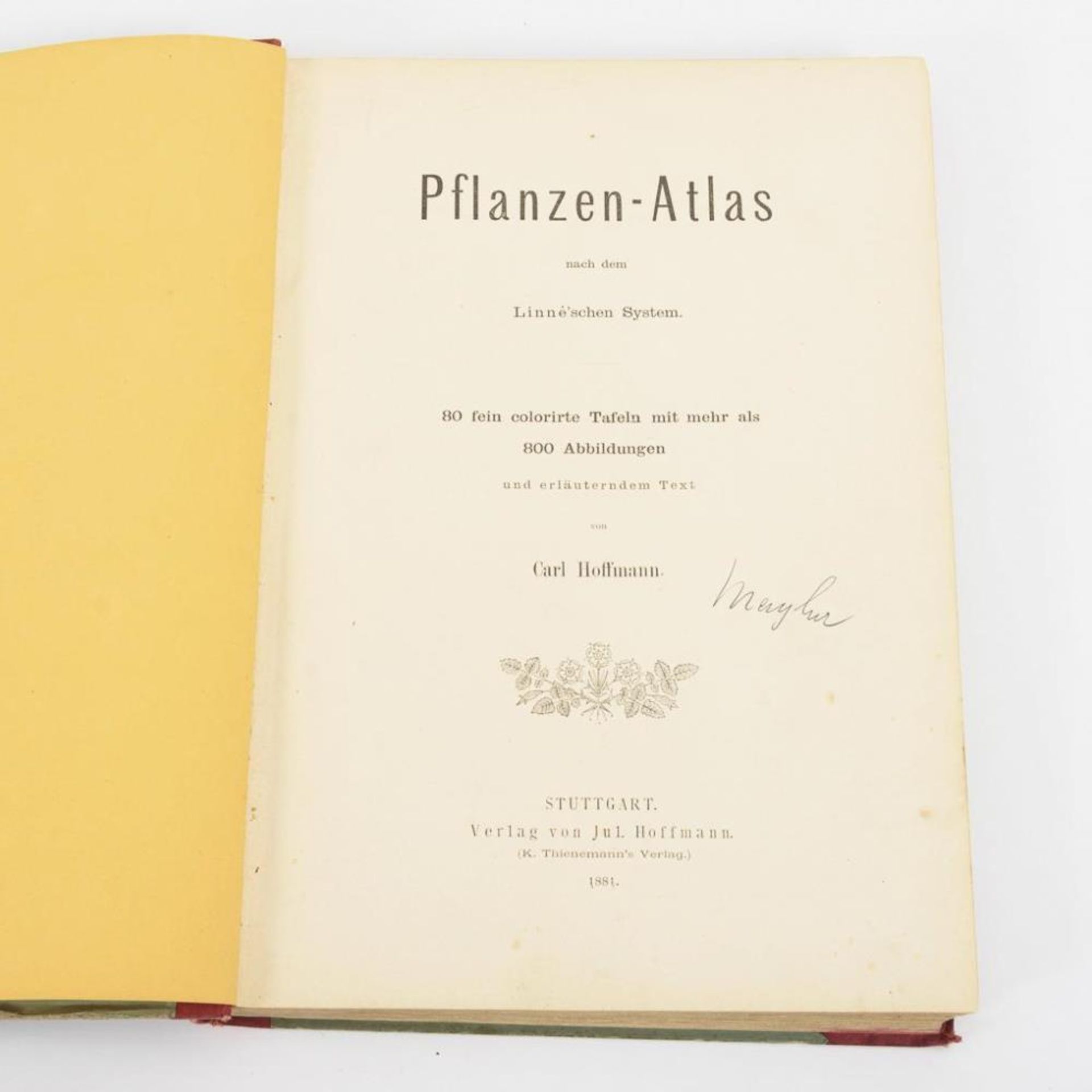 HOFFMANN, Carl. "Pflanzen-Atlas".