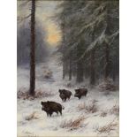 MÖTSCH, August (1869 - 1952 Düsseldorf). Wildschweine im Winter.