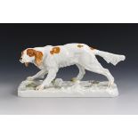 Irish Setter. Meissen.