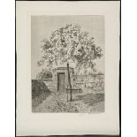 FELDHUSEN, Anna (1867 Bremen - 1951 Bremen). Blühender Apfelbaum vor Mauer.