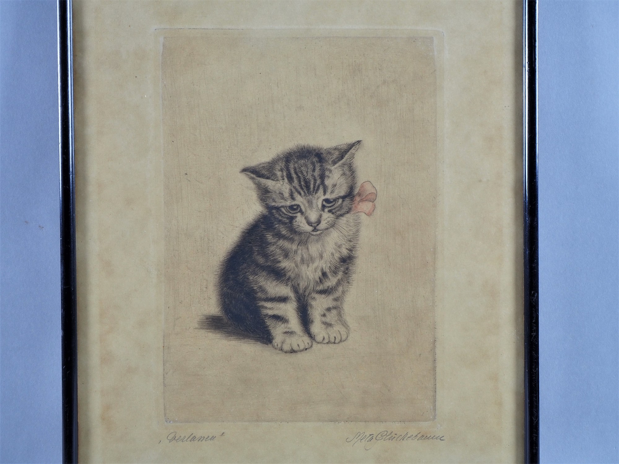 Etching with kitten "Abandoned" - Meta Plückebaum (1876, Dortmund - 1945, Düsseldorf).