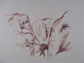 Reinhold W. Timm (1931 Stettin - 2001 Berlin) - Zeichnung Elefanten, 1982