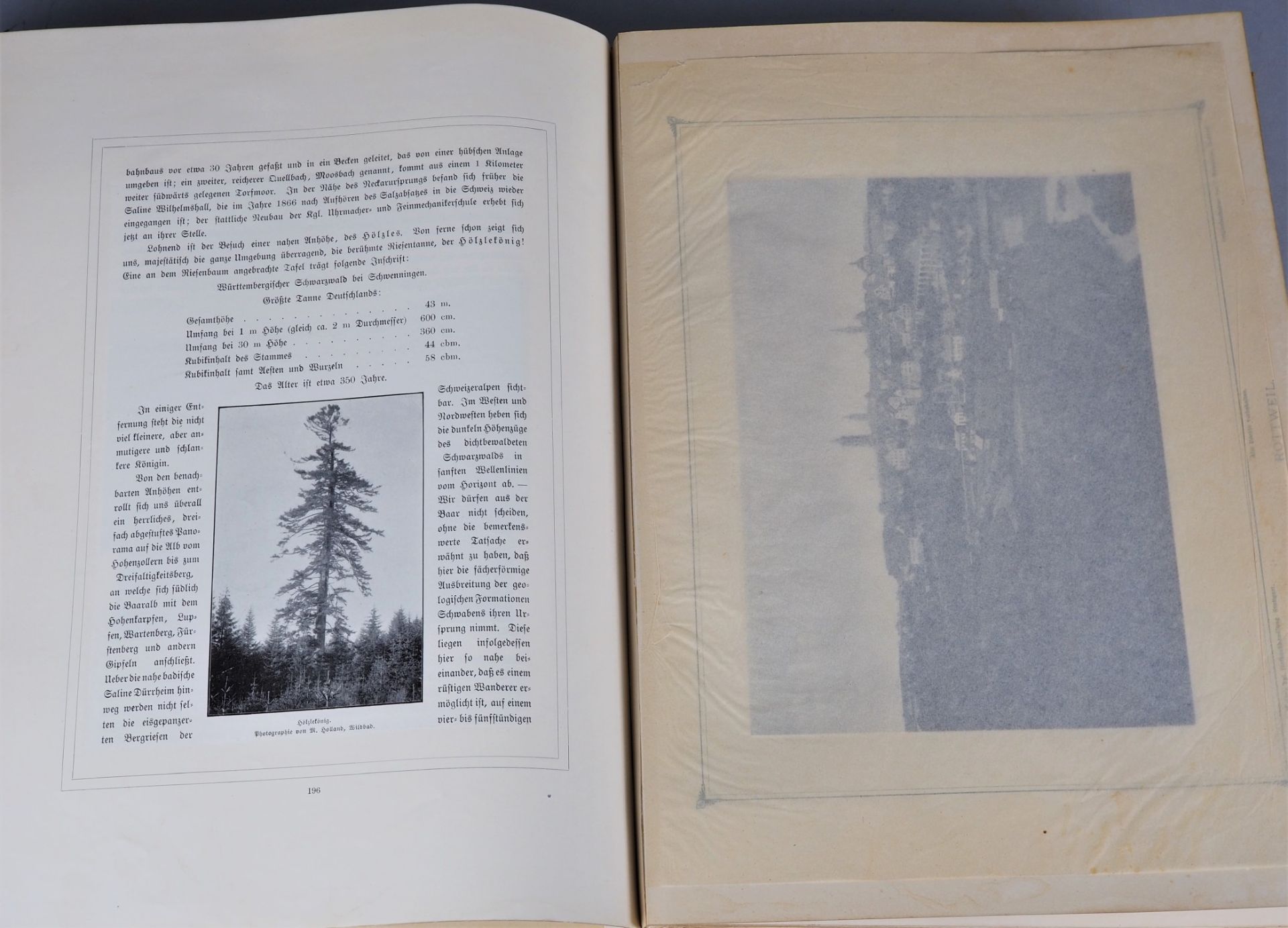 Der Schwarzwald in Wort und Bild, 4. Auflage 1903 - Bild 4 aus 4