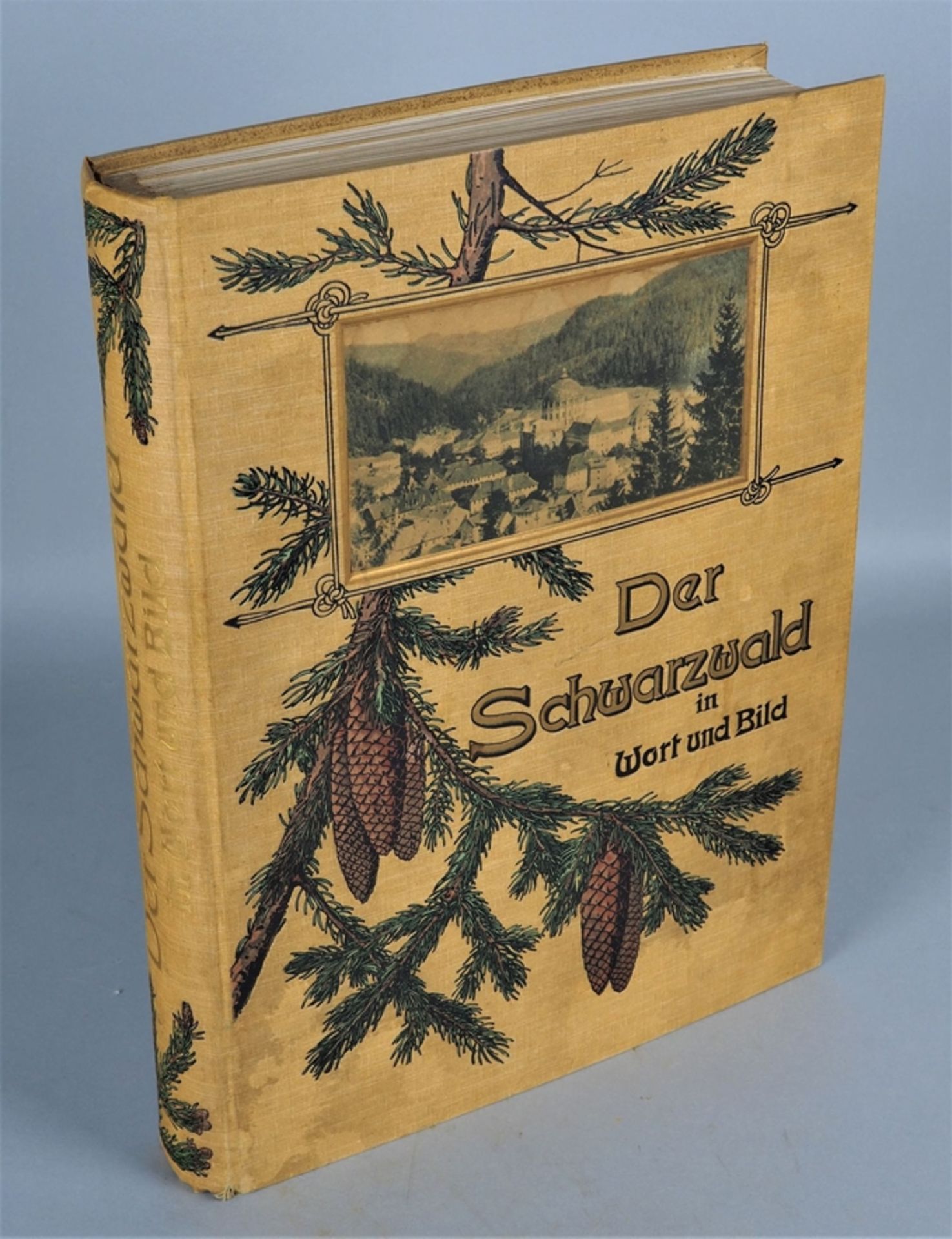 The Black Forest in words and pictures, 4th edition 1903