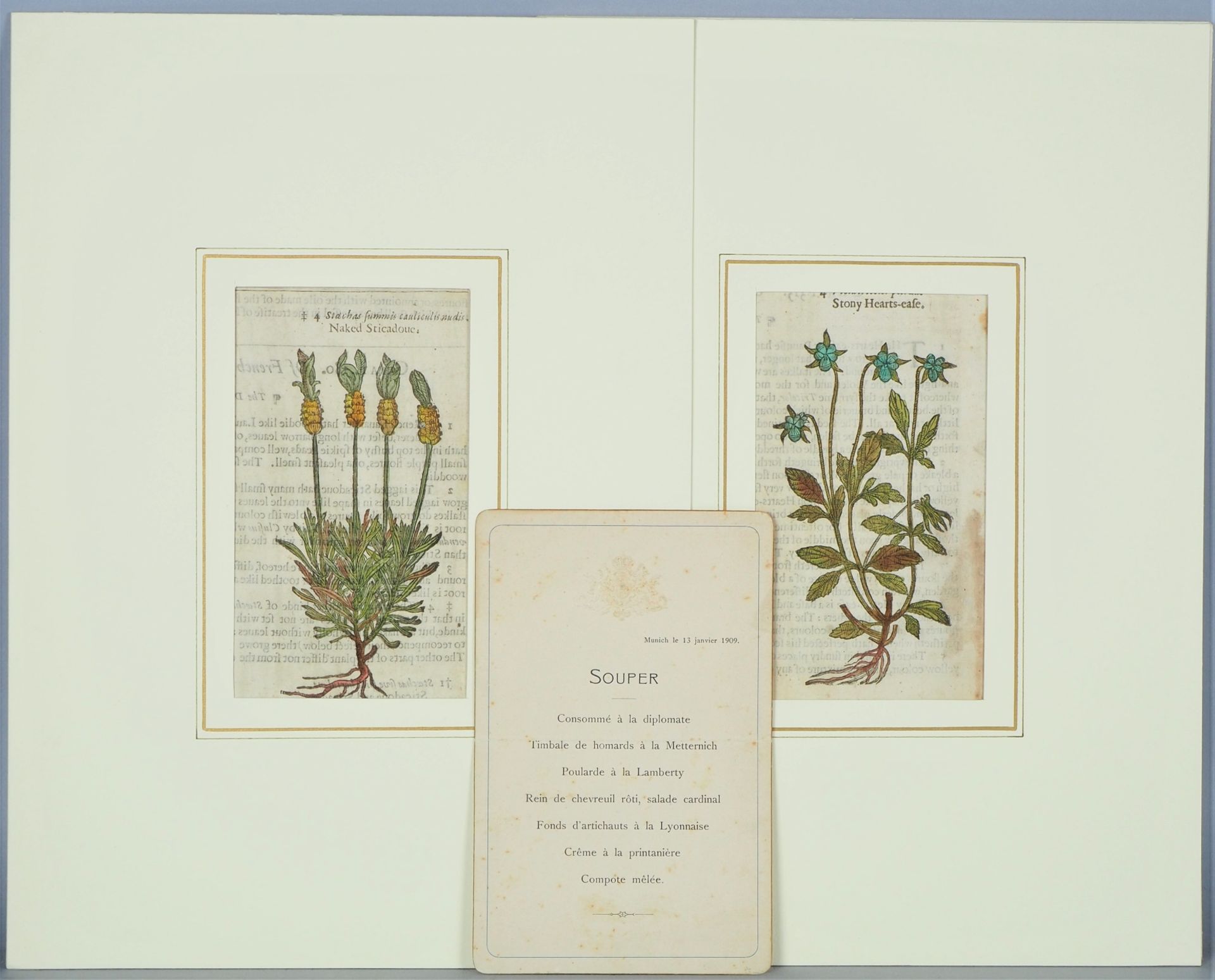 Konvolut kolorierte Stiche, Blumenmotive, wohl England, 17. Jh. - Bild 7 aus 7