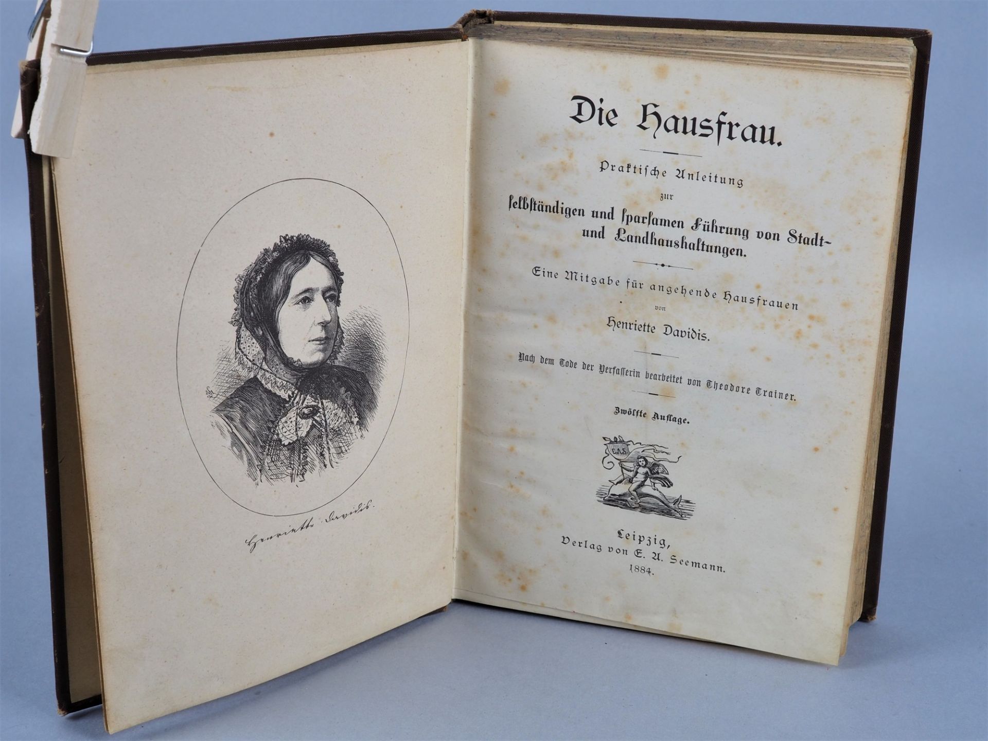 Antikes Haushaltungsbuch: Henriette Davidis - "Die Hausfrau", 1884 - Bild 2 aus 2
