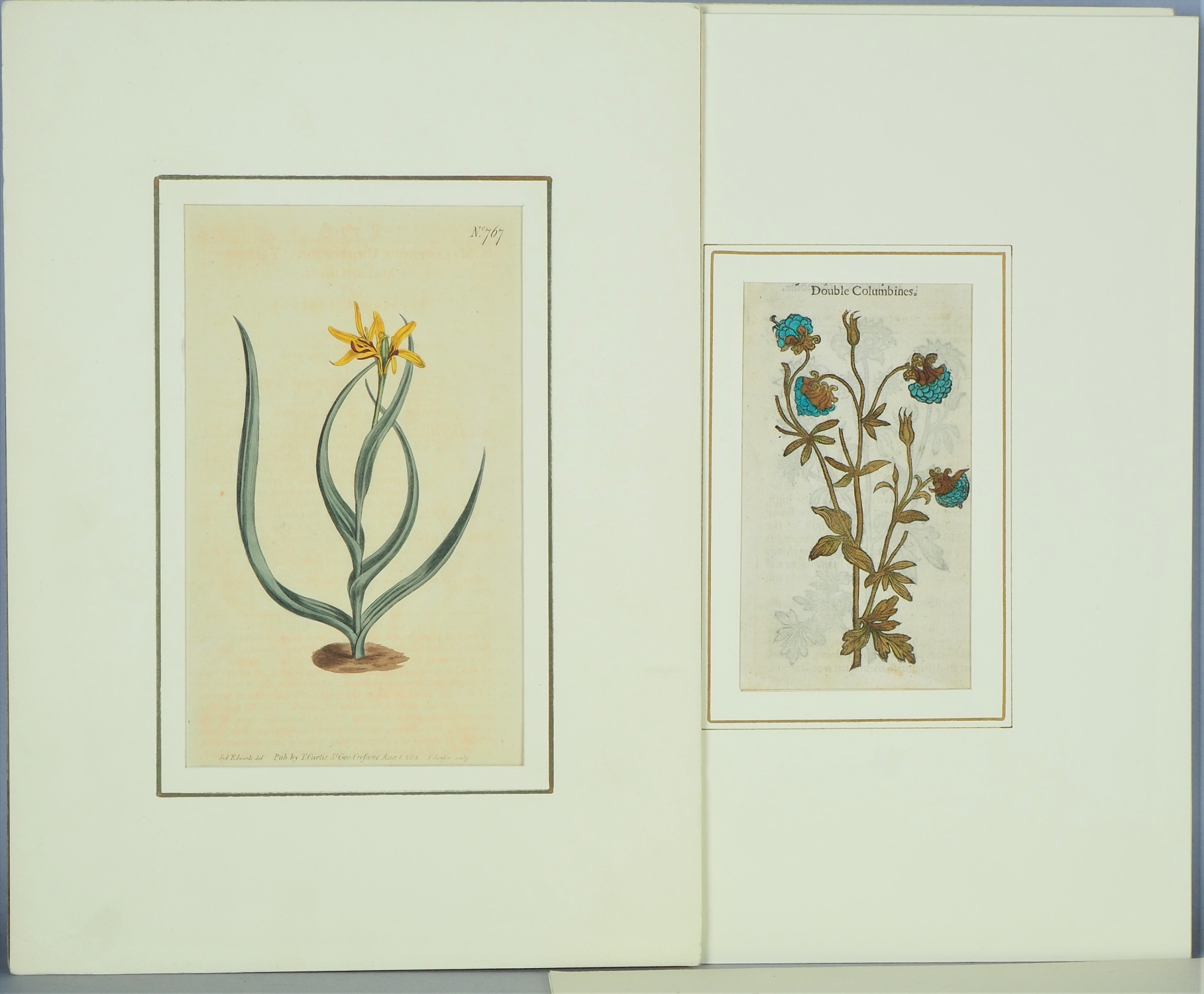 Mix of colored engravings, floral motifs, probably England, 17th century.  - Image 2 of 7