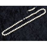 Akoya Perlenkette mit 925er Sterling Silber Verschluss