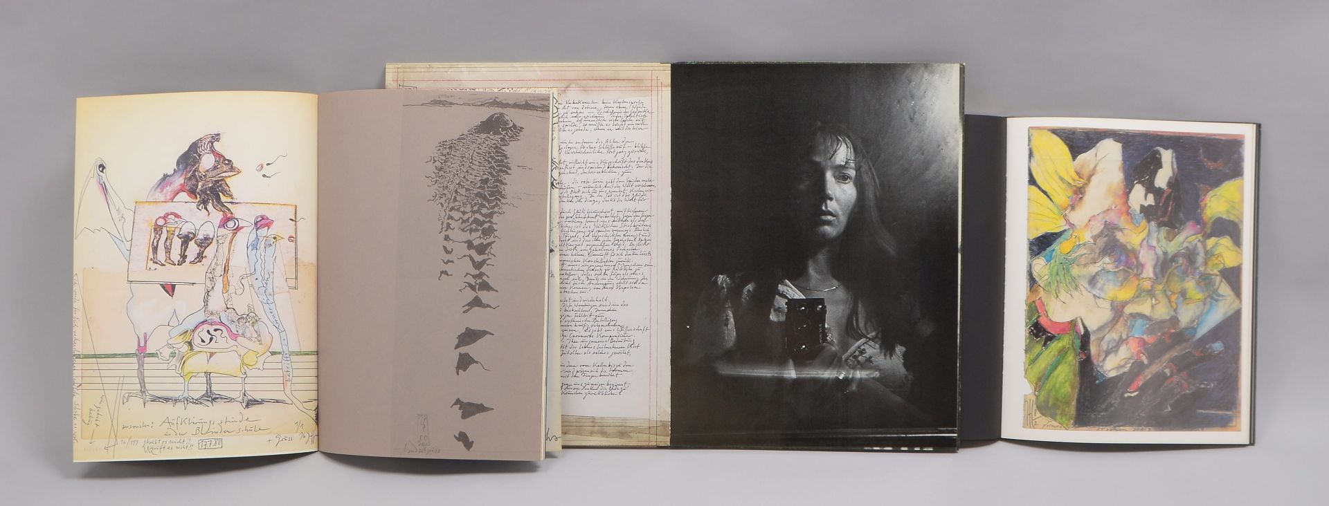 3 Bildbände, Janssen, Horst: 'Nocturno' (1977); 'Paranoia' (1982), und 'Angeber Icks' (1982) - Bild 3 aus 3