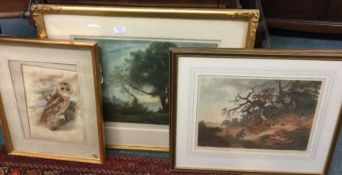 A quantity of framed and glazed various pictures.