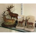 Stag bookends etc.
