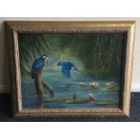 A framed oil on canvas of two kingfishers. Signed