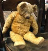 An old preloved teddy bear.