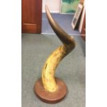 A large horn mounted on a stand.