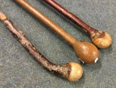 Three old walking sticks.