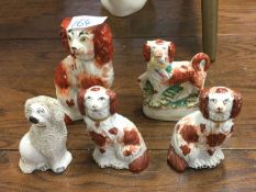 A group of Staffordshire and other dogs.