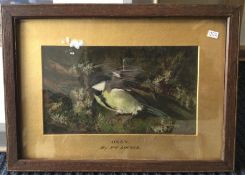 PRINCESS LOUISE (Daughter of Queen Victoria): A framed and glazed watercolour of a blu
