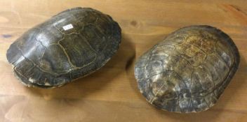 Two old tortoiseshells. Est. £30 - £40.
