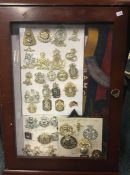 A framed and glazed display cabinet containing cap