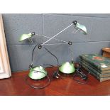 Pair of adjustable desk lamps