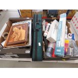Canvas violin case, 2 boxes containing cards, silicon tubes a florescent light and glass wear,