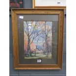 Framed and glazed woodland watercolour signed A.J. Billinghurst