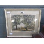 Pair of framed and glazed Margaret Lanaway watercolours, woodland and townscape