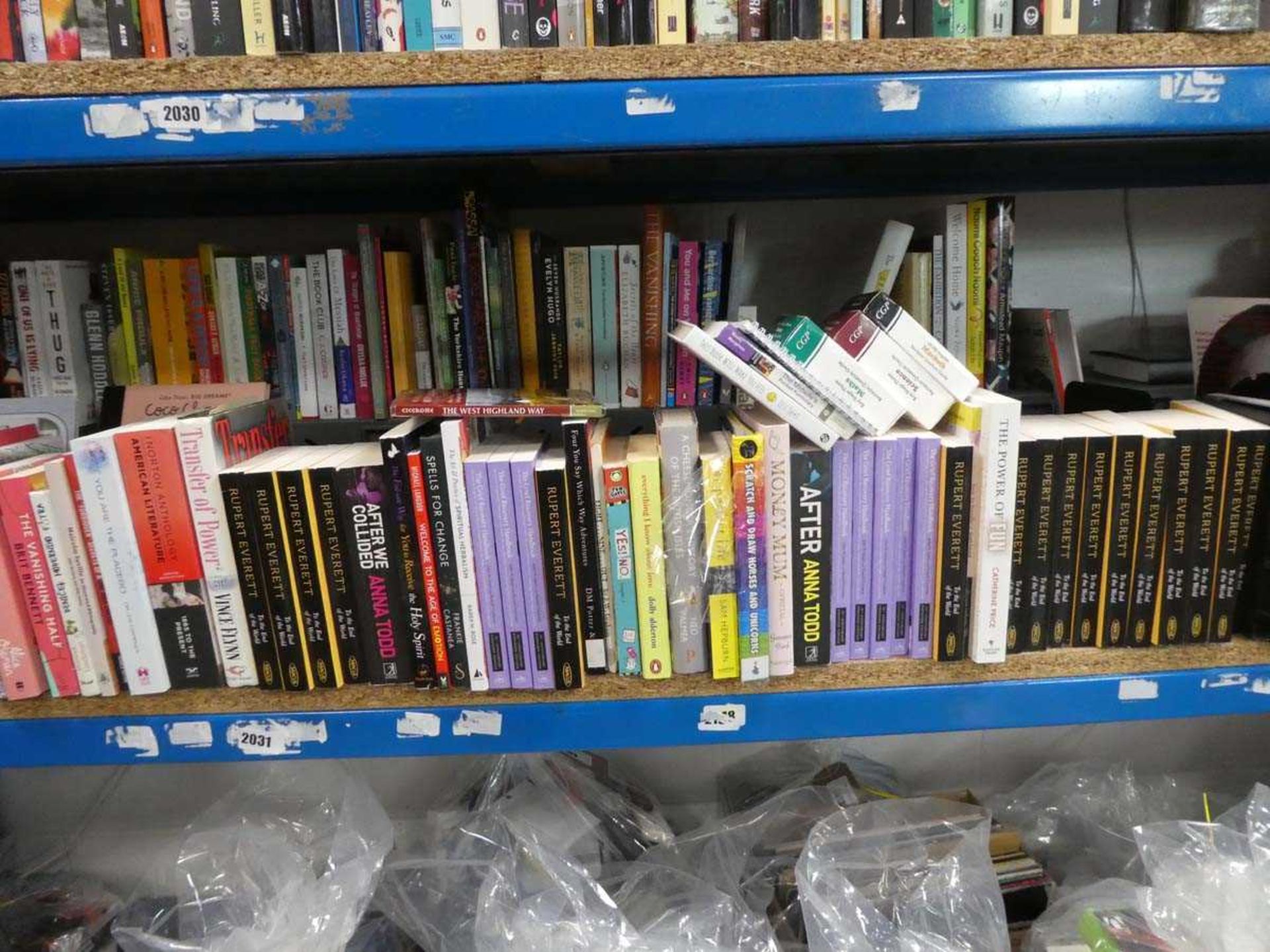 Shelf comprising hard back and paperback novels - Image 3 of 3