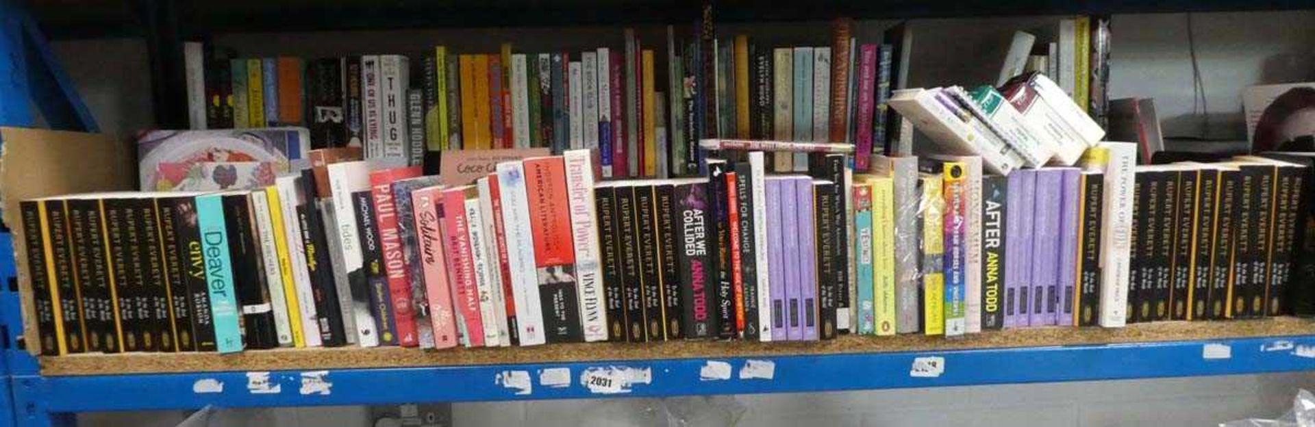 Shelf comprising hard back and paperback novels