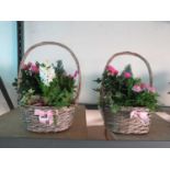 Pair of wicker baskets containing mixed plants