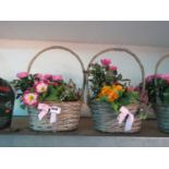 2 wicker baskets of mixed plants