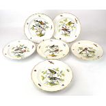A set of six Meissen cabinet plates, each depicting song birds within insect decorated borders, d.