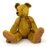 A fully jointed bear in golden mohair with black boot button eyes and horizontally stiched nose,