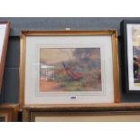 Framed and glazed picture of pheasants