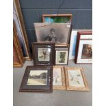 Quantity of botanical prints, photographic portraits, thatched cottage, ships at sea and country
