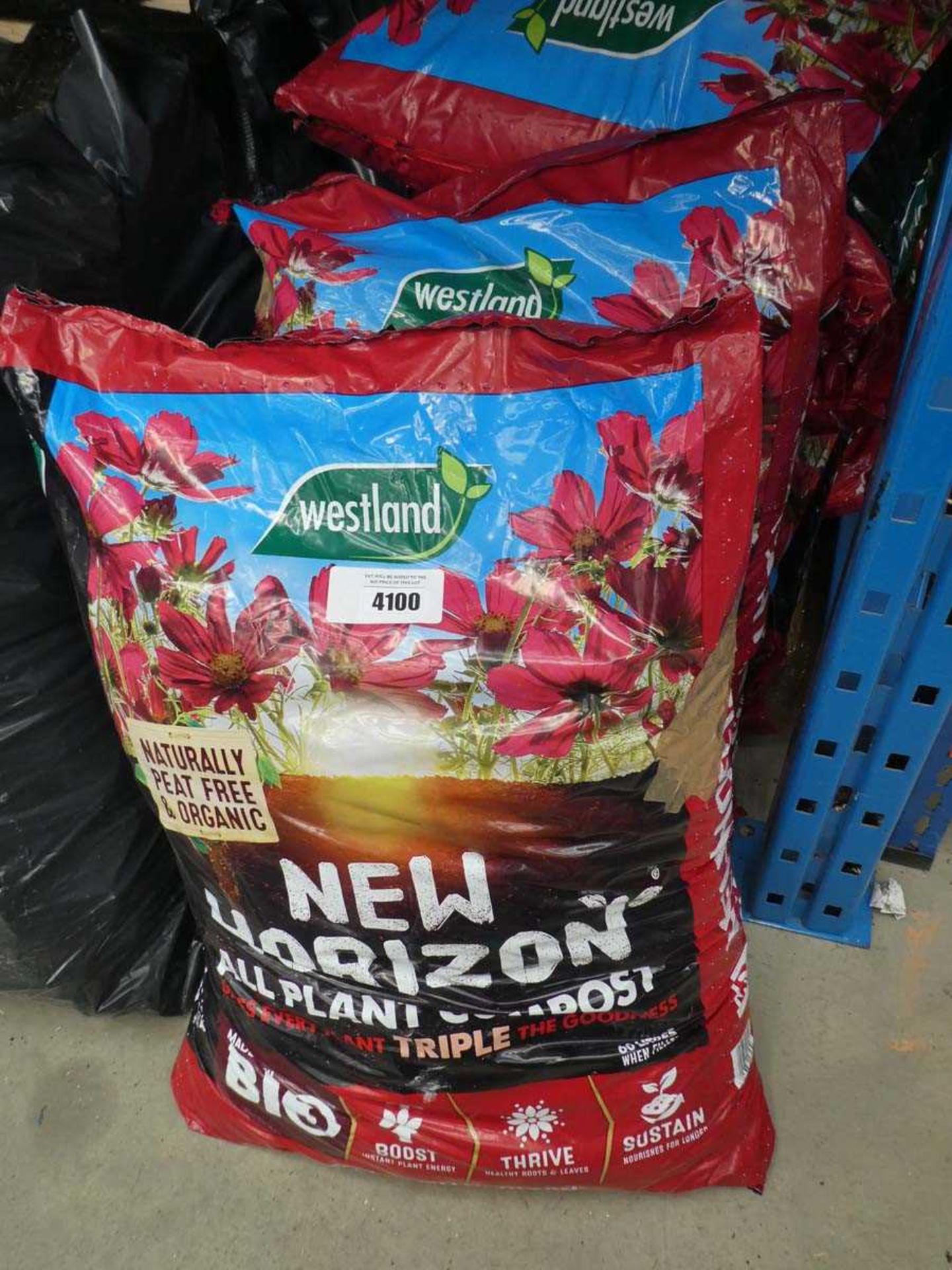 +VAT 6 x bags of Westland all plant compost