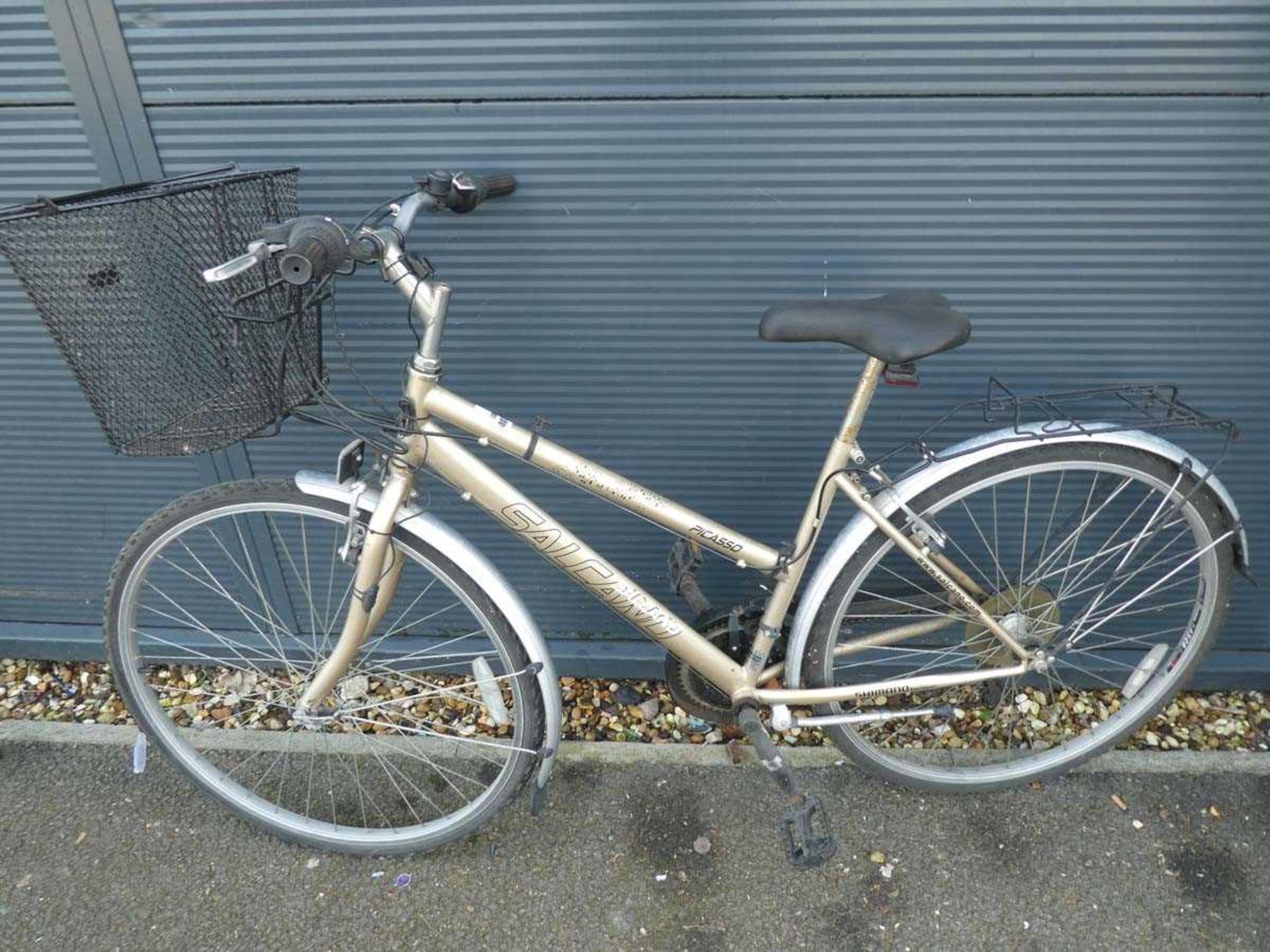 Salcano Picasso gold ladies bike with front basket