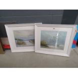 Pair of framed and glazed paintings of seashore with seagulls