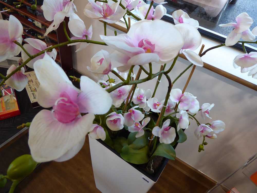 Modern white planter containing artificial orchids - Bild 2 aus 3