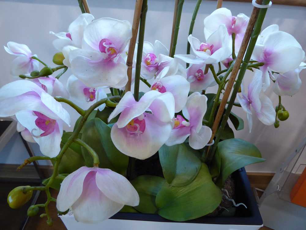 Modern white planter containing artificial orchids - Bild 3 aus 3