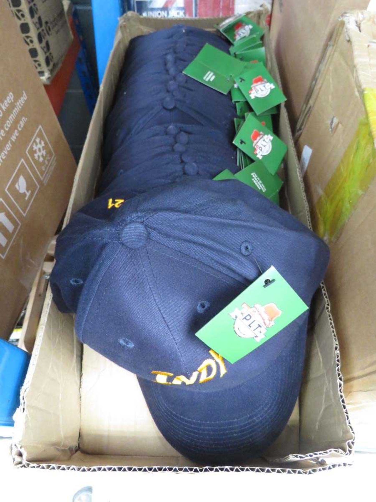 +VAT Box of Indy hats