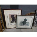 Two framed and glazed pictures of black Labradors