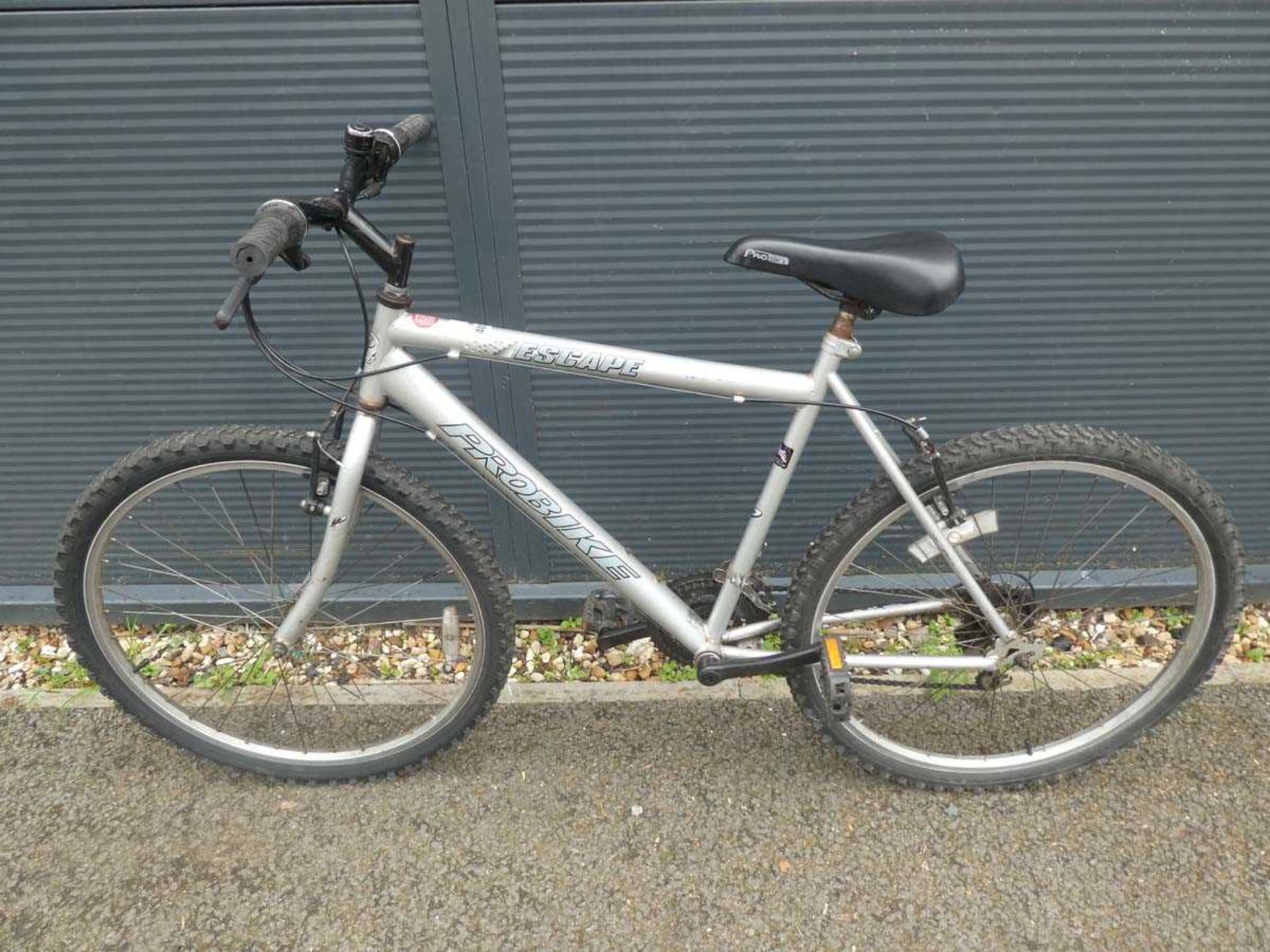 Silver Pro mountain bike