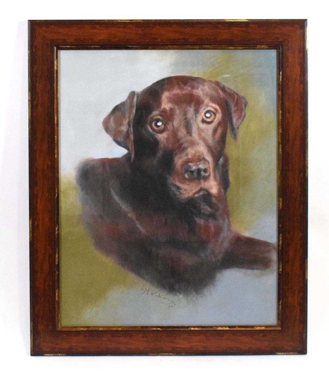 L.. M.. Watson (20th century).A head and shoulders study of a chocolate labrador,signed and dated '