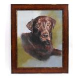 L.. M.. Watson (20th century).A head and shoulders study of a chocolate labrador,signed and dated '