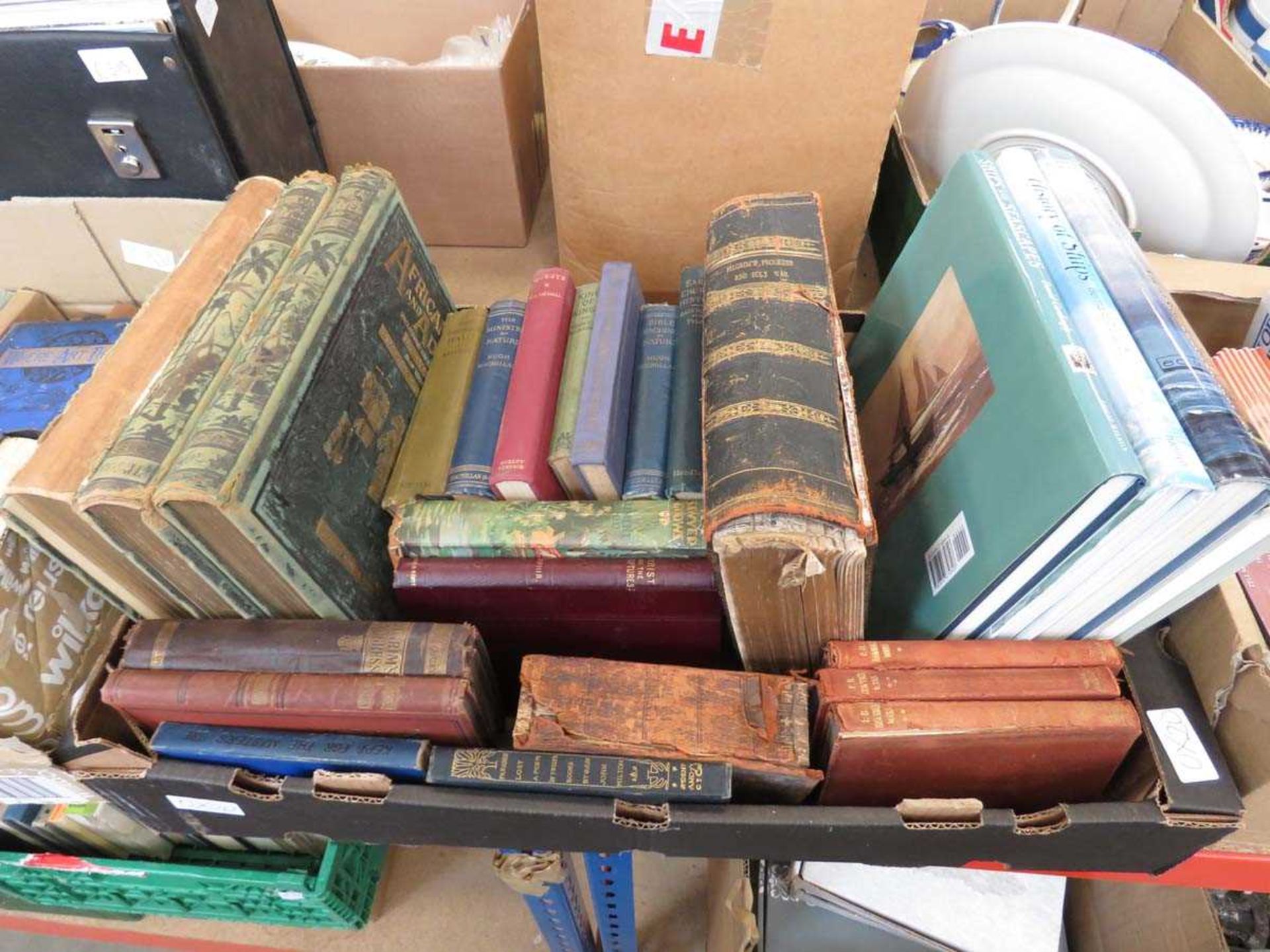 5 boxes containing reference books and novels incl. Pilgrim's Progress, African Travels, History - Image 5 of 6
